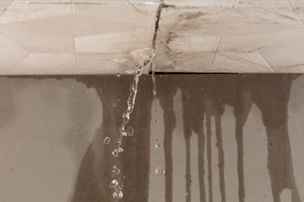 Professional Water Extraction technician working in Ecru, MS